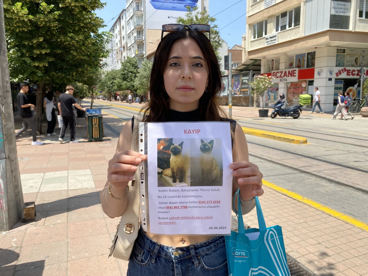 HERKES BAYRAMI KUTLARKEN O SOKAK SOKAK KAYIP KEDİSİNİ ARADI