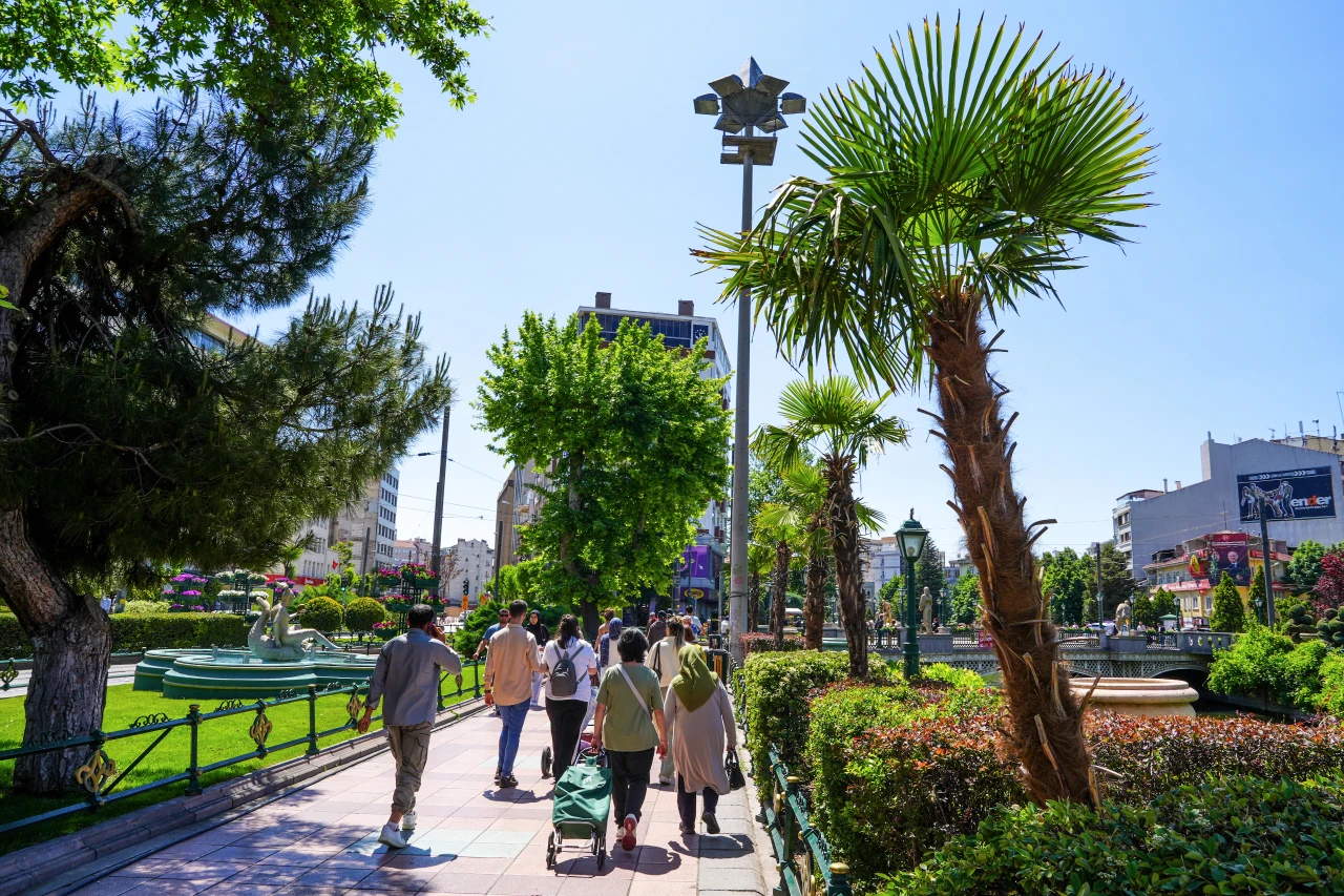 KÖPRÜBAŞI PALMİYE VE ZAKKUMLARLA SÜSLENDİ