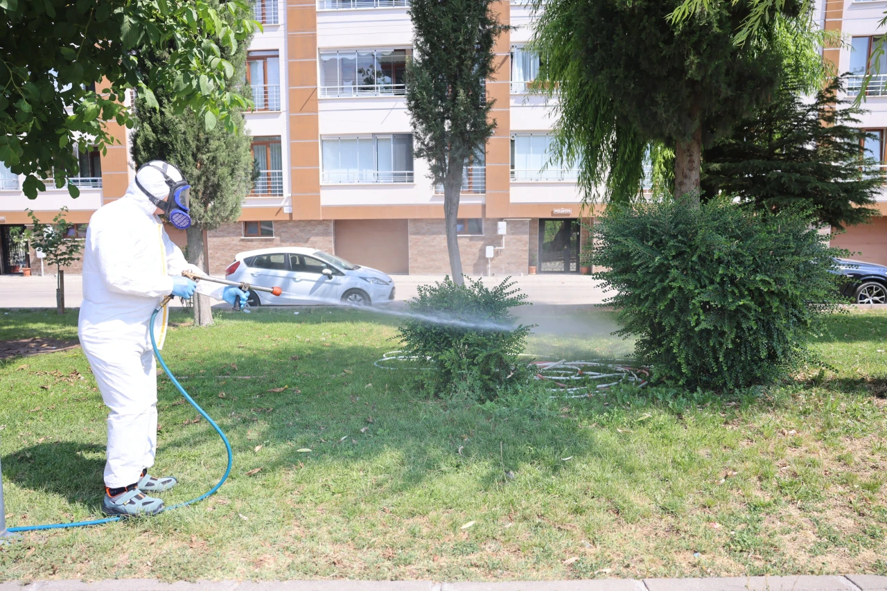 KENE TEHLİKESİNE KARŞI ETKİLİ MÜCADELE