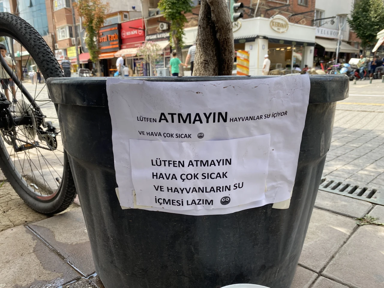 LÜTFEN ATMAYIN LÜTFEN!!!