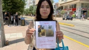 HERKES BAYRAMI KUTLARKEN O SOKAK SOKAK KAYIP KEDİSİNİ ARADI