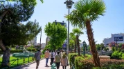 KÖPRÜBAŞI PALMİYE VE ZAKKUMLARLA SÜSLENDİ
