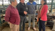 Süllü, “Ne üretici kazanıyor, ne tüketici alabiliyor”