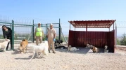 Can dostlar için doğal yaşam alanı açıldı “ŞEFKATLE YAPTIK, SEVGİYLE YAŞATACAĞIZ”