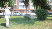 KENE TEHLİKESİNE KARŞI ETKİLİ MÜCADELE