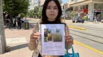 HERKES BAYRAMI KUTLARKEN O SOKAK SOKAK KAYIP KEDİSİNİ ARADI