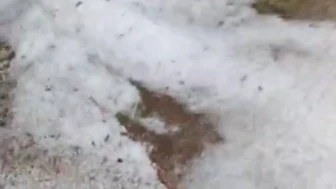 Seyitgazi beyaza büründü