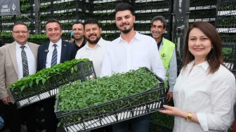 Sivrihisar’da fideler çiftçilere ulaştı