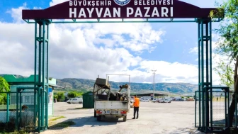 Kurbanlık hayvan pazarı için yer satışları başlıyor