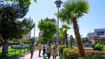KÖPRÜBAŞI PALMİYE VE ZAKKUMLARLA SÜSLENDİ