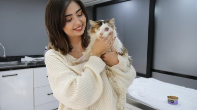 Tek Gözünü Kaybeden Yaralı Kedi Yeni Yuvasına Kavuşuyor