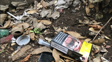Yere izmarit atılmayınca saksılar hedef oldu