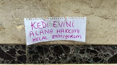 Eskişehir'de kedi evinin kaldırılmasına hayvanseverden duygusal tepki