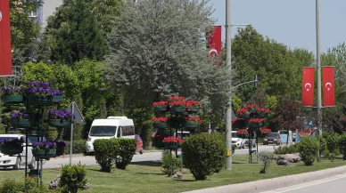Refüjler çiçeklerle renklendi