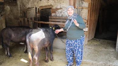 BÜYÜKŞEHİR BELEDİYESİ DESTEKLEDİ ÜRETİCİ KAZANDI