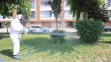 KENE TEHLİKESİNE KARŞI ETKİLİ MÜCADELE
