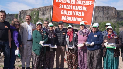 Kızılinler bal kabağının hikayesi başlıyor