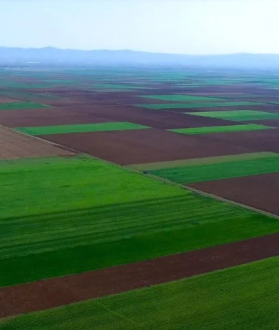 DANIŞTAY BİR KEZ DAHA ALPU OVASI İÇİN “DUR” DEDİ