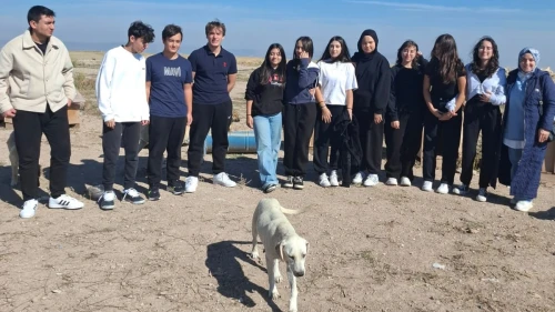 ŞEHİR KOLEJİ ÖĞRENCİLERİ SAHİPSİZ HAYVANLARI UNUTMADI