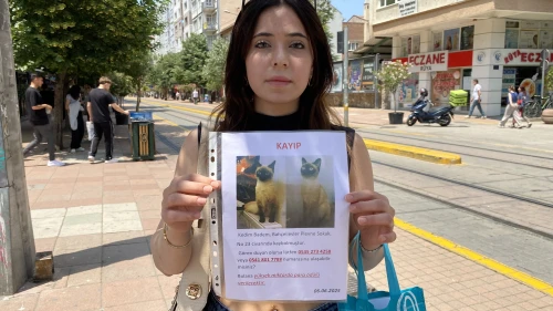 HERKES BAYRAMI KUTLARKEN O SOKAK SOKAK KAYIP KEDİSİNİ ARADI