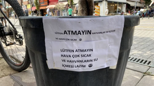 LÜTFEN ATMAYIN LÜTFEN!!!