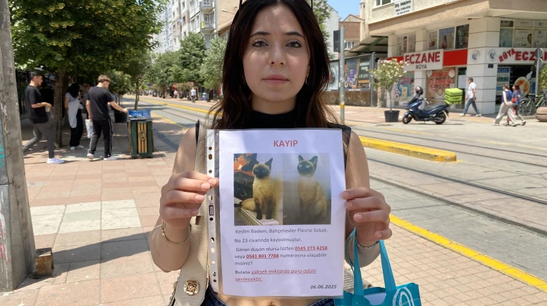 HERKES BAYRAMI KUTLARKEN O SOKAK SOKAK KAYIP KEDİSİNİ ARADI